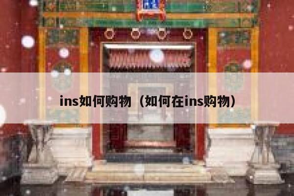 ins如何购物（如何在ins购物） 第1张