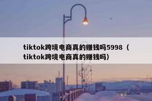 tiktok跨境电商真的赚钱吗5998(tiktok跨境电商真的赚钱吗) 第1张 tiktok跨境电商真的赚钱吗5998(tiktok跨境电商真的赚钱吗) 第1张