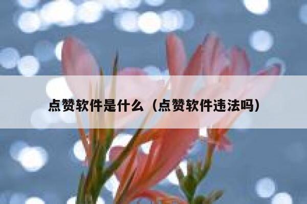 点赞软件是什么(点赞软件违法吗) 第1张 点赞软件是什么(点赞软件违法吗) 第1张