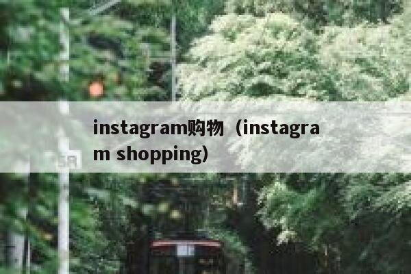 instagram购物(instagram shopping) 第1张 instagram购物(instagram shopping) 第1张