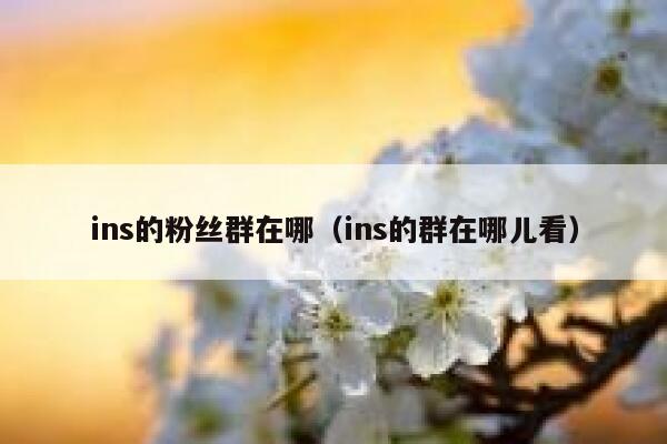 ins的粉丝群在哪（ins的群在哪儿看） 第1张