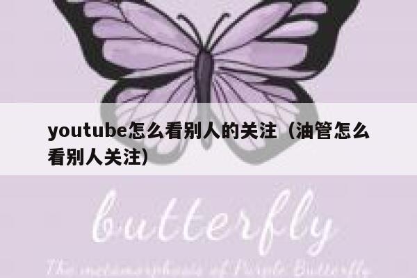 youtube怎么看别人的关注（油管怎么看别人关注） 第1张