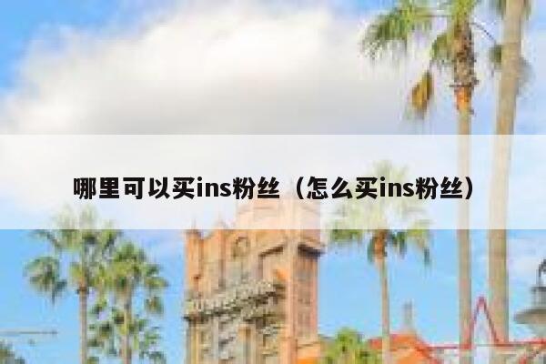 哪里可以买ins粉丝（怎么买ins粉丝） 第1张