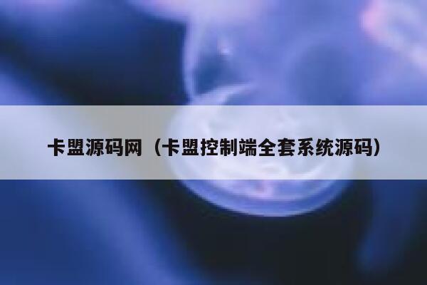 卡盟源码网（卡盟控制端全套系统源码） 第1张