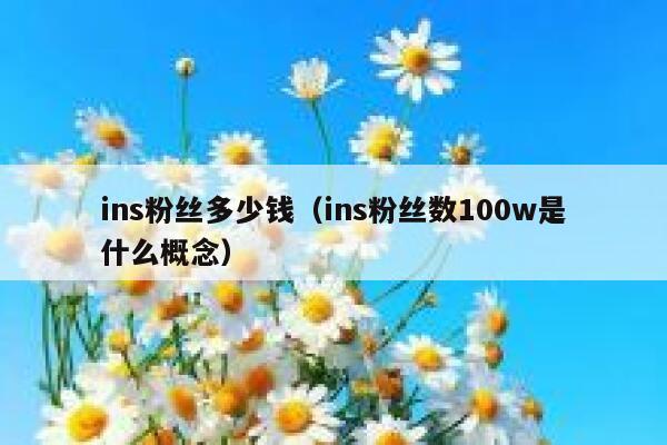 ins粉丝多少钱(ins粉丝数100w是什么概念) 第1张 ins粉丝多少钱(ins粉丝数100w是什么概念) 第1张
