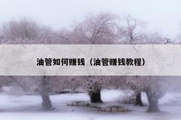油管如何赚钱(油管赚钱教程) 第1张 油管如何赚钱(油管赚钱教程) 第1张