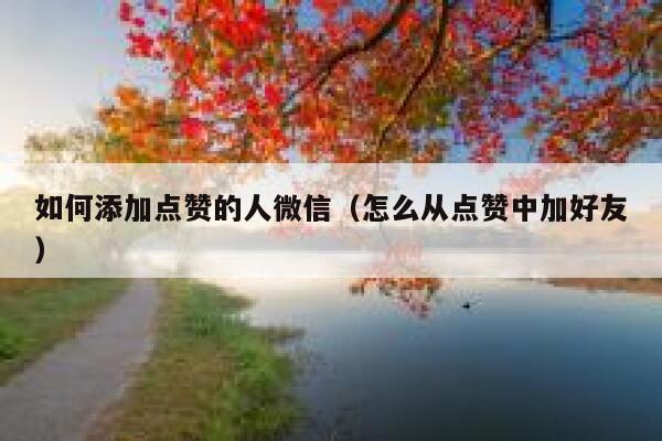 如何添加点赞的人微信（怎么从点赞中加好友） 第1张