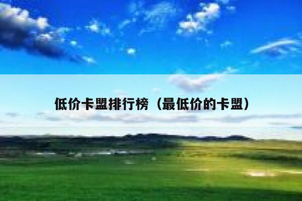 低价卡盟排行榜（最低价的卡盟） 第1张