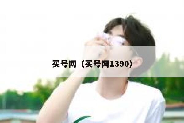 买号网(买号网1390) 第1张 买号网(买号网1390) 第1张