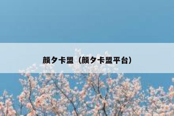 颜夕卡盟（颜夕卡盟平台） 第1张
