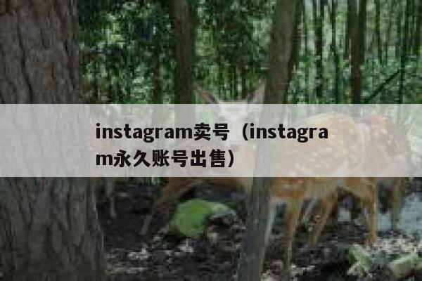 instagram卖号（instagram永久账号出售） 第1张
