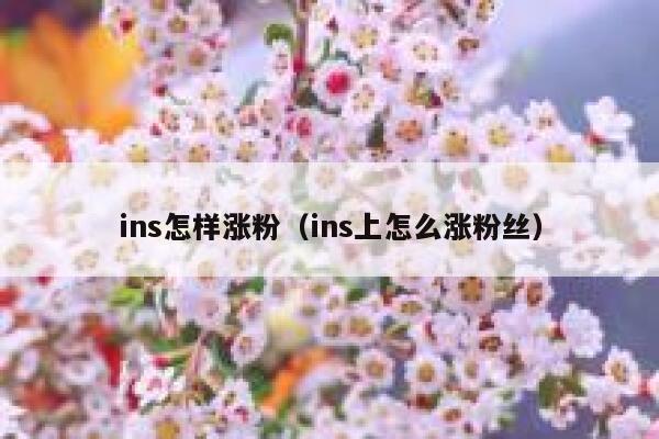 ins怎样涨粉（ins上怎么涨粉丝） 第1张