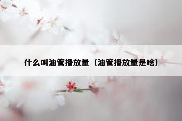 什么叫油管播放量（油管播放量是啥） 第1张