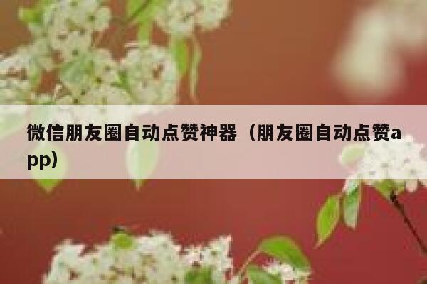 微信朋友圈自动点赞神器(朋友圈自动点赞app) 第1张 微信朋友圈自动点赞神器(朋友圈自动点赞app) 第1张