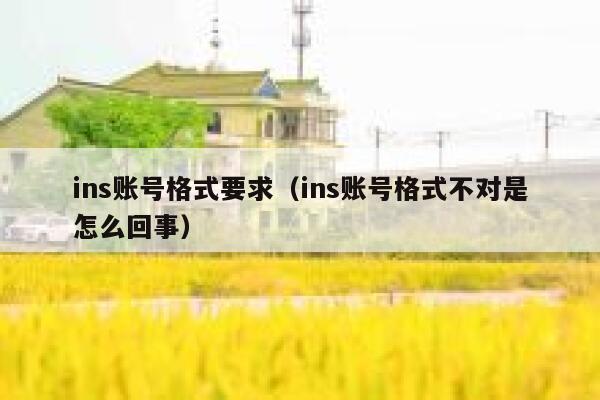 ins账号格式要求（ins账号格式不对是怎么回事） 第1张