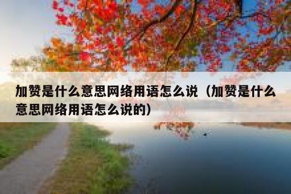 加赞是什么意思网络用语怎么说（加赞是什么意思网络用语怎么说的） 第1张