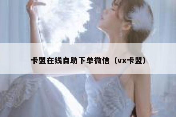 卡盟在线自助下单微信（vx卡盟） 第1张