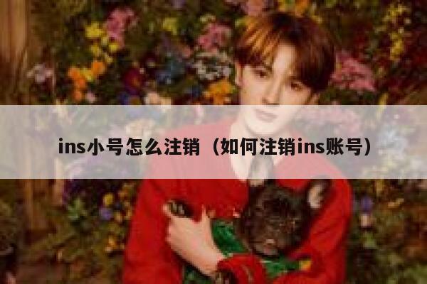 ins小号怎么注销（如何注销ins账号） 第1张