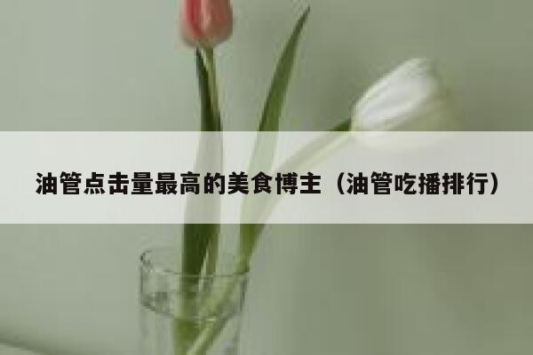 油管点击量最高的美食博主（油管吃播排行） 第1张