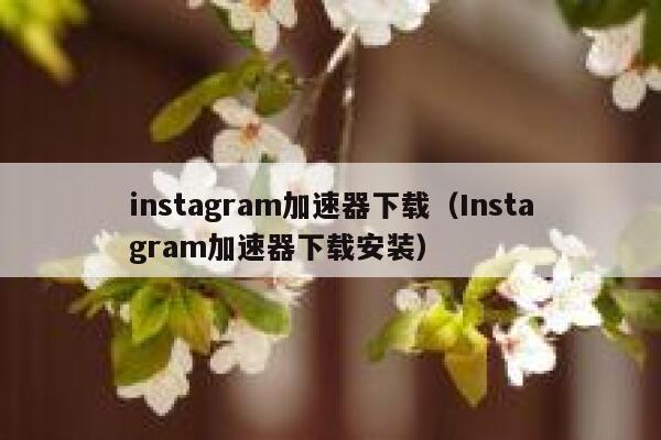instagram加速器下载（Instagram加速器下载安装） 第1张
