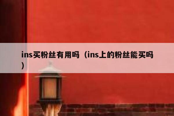 ins买粉丝有用吗(ins上的粉丝能买吗) 第1张 ins买粉丝有用吗(ins上的粉丝能买吗) 第1张