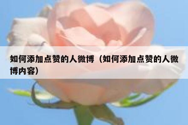 如何添加点赞的人微博(如何添加点赞的人微博内容) 第1张 如何添加点赞的人微博(如何添加点赞的人微博内容) 第1张
