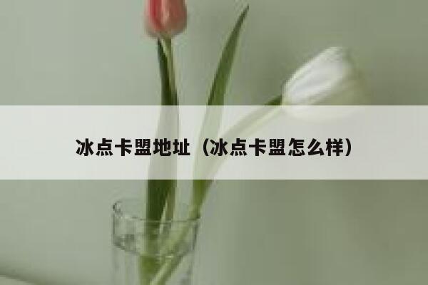冰点卡盟地址（冰点卡盟怎么样） 第1张