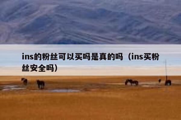 ins的粉丝可以买吗是真的吗（ins买粉丝安全吗） 第1张