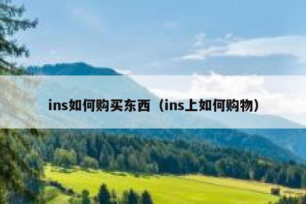 ins如何购买东西（ins上如何购物） 第1张