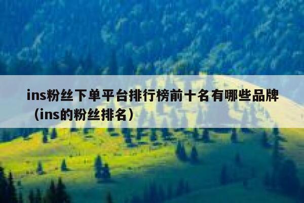 ins粉丝下单平台排行榜前十名有哪些品牌(ins的粉丝排名) 第1张 ins粉丝下单平台排行榜前十名有哪些品牌(ins的粉丝排名) 第1张