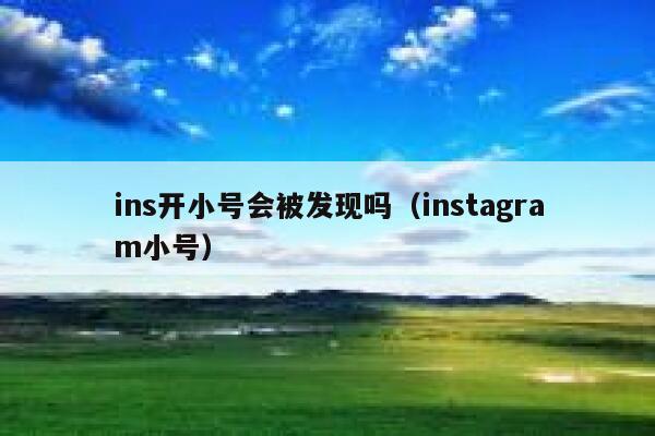 ins开小号会被发现吗(instagram小号) 第1张 ins开小号会被发现吗(instagram小号) 第1张
