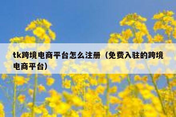 tk跨境电商平台怎么注册(免费入驻的跨境电商平台) 第1张 tk跨境电商平台怎么注册(免费入驻的跨境电商平台) 第1张