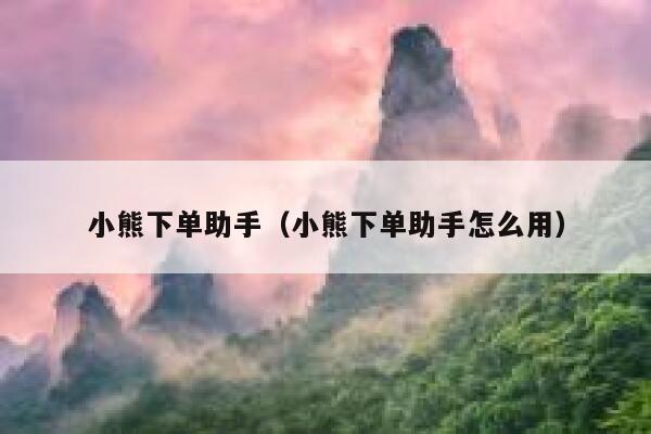小熊下单助手（小熊下单助手怎么用） 第1张