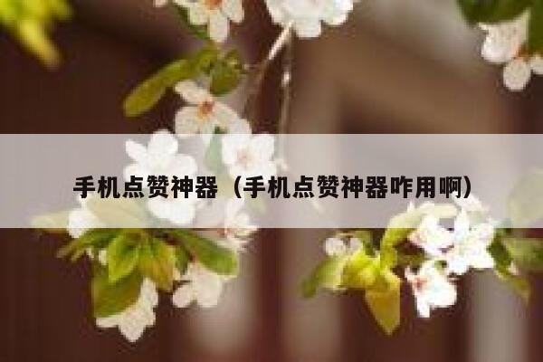 手机点赞神器（手机点赞神器咋用啊） 第1张