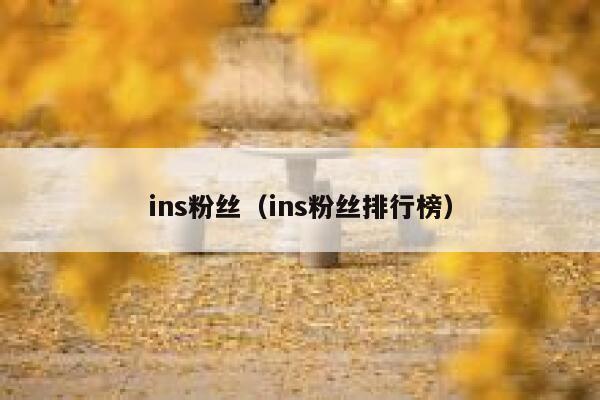 ins粉丝（ins粉丝排行榜） 第1张