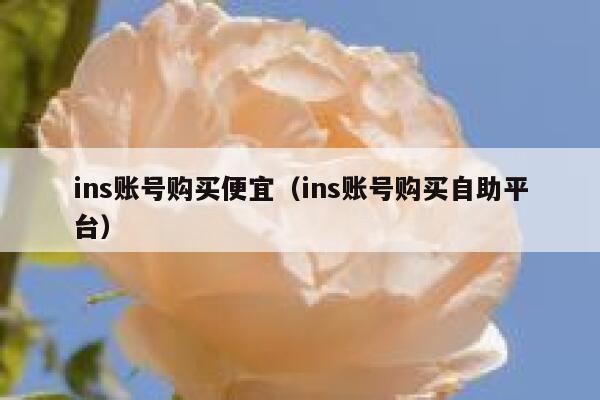 ins账号购买便宜(ins账号购买自助平台) 第1张 ins账号购买便宜(ins账号购买自助平台) 第1张
