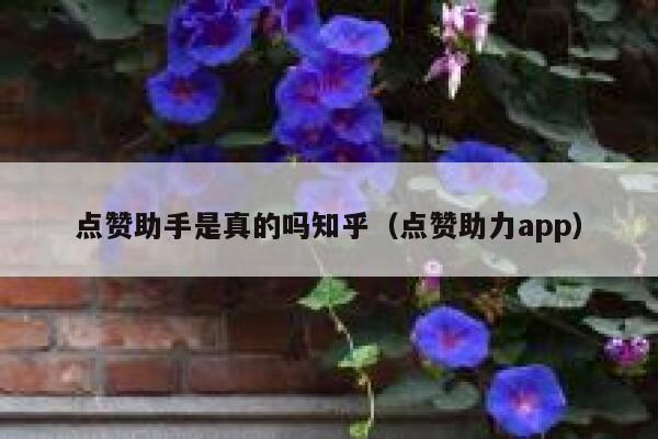 点赞助手是真的吗知乎(点赞助力app) 第1张 点赞助手是真的吗知乎(点赞助力app) 第1张