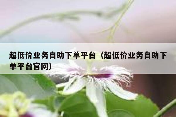 超低价业务自助下单平台（超低价业务自助下单平台官网） 第1张