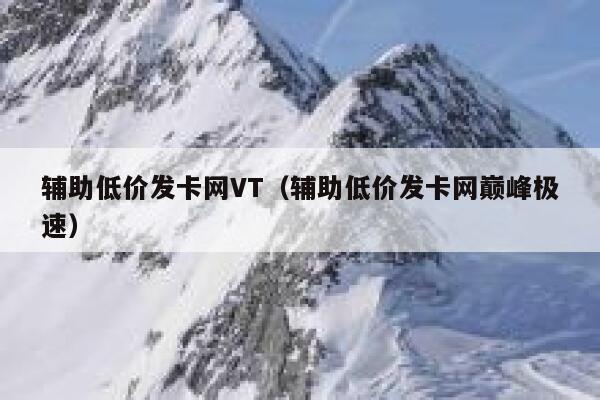 辅助低价发卡网VT（辅助低价发卡网巅峰极速） 第1张