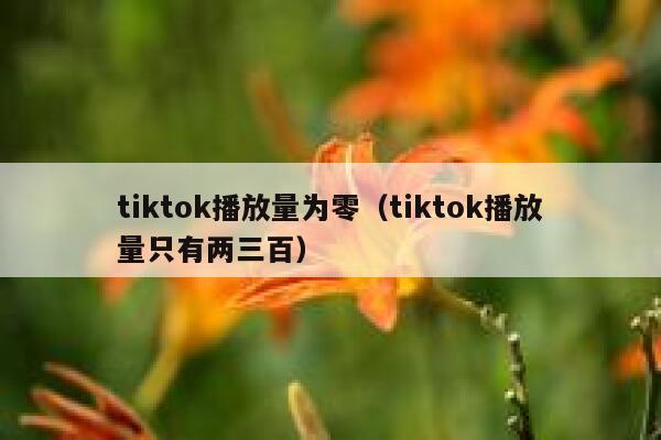 tiktok播放量为零(tiktok播放量只有两三百) 第1张 tiktok播放量为零(tiktok播放量只有两三百) 第1张