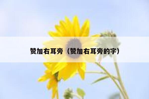赞加右耳旁(赞加右耳旁的字) 第1张 赞加右耳旁(赞加右耳旁的字) 第1张