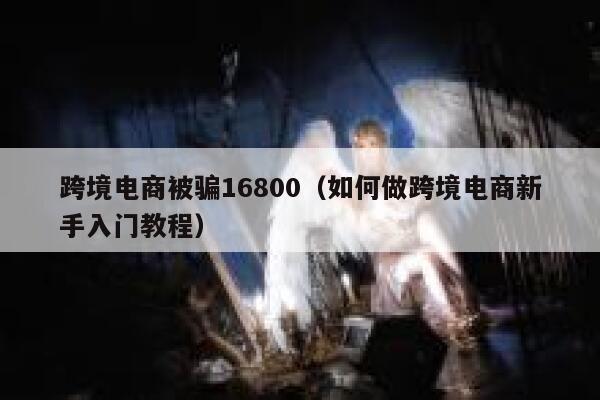 跨境电商被骗16800(如何做跨境电商新手入门教程) 第1张 跨境电商被骗16800(如何做跨境电商新手入门教程) 第1张