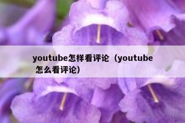 youtube怎样看评论(youtube 怎么看评论) 第1张 youtube怎样看评论(youtube 怎么看评论) 第1张