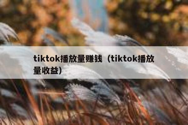 tiktok播放量赚钱(tiktok播放量收益) 第1张 tiktok播放量赚钱(tiktok播放量收益) 第1张