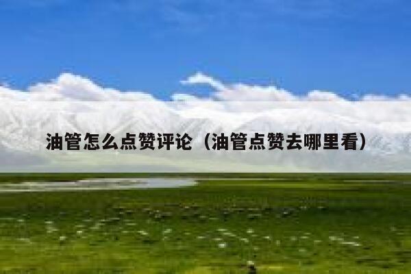 油管怎么点赞评论(油管点赞去哪里看) 第1张 油管怎么点赞评论(油管点赞去哪里看) 第1张