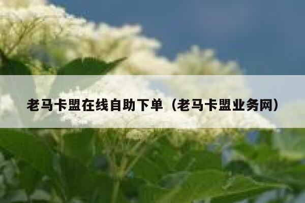 老马卡盟在线自助下单(老马卡盟业务网) 第1张 老马卡盟在线自助下单(老马卡盟业务网) 第1张
