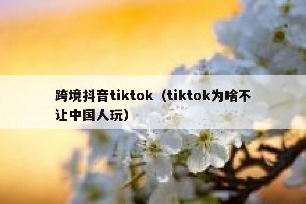 跨境抖音tiktok(tiktok为啥不让中国人玩) 第1张 跨境抖音tiktok(tiktok为啥不让中国人玩) 第1张