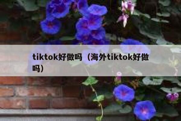 tiktok好做吗(海外tiktok好做吗) 第1张 tiktok好做吗(海外tiktok好做吗) 第1张