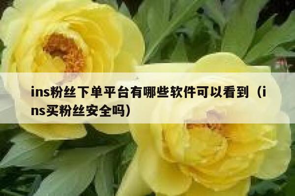 ins粉丝下单平台有哪些软件可以看到（ins买粉丝安全吗） 第1张