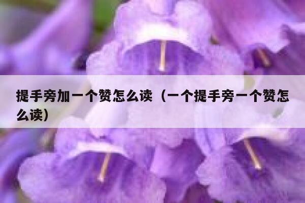 提手旁加一个赞怎么读(一个提手旁一个赞怎么读) 第1张 提手旁加一个赞怎么读(一个提手旁一个赞怎么读) 第1张